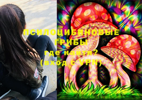 таблы Бородино